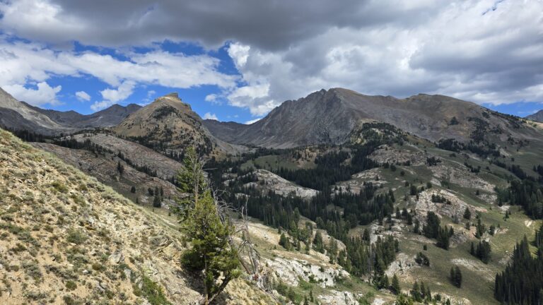 Idaho Mountain Landscape
